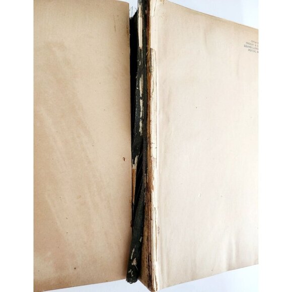 1893 Acts & Resolves State Of Maine 1st Edition 66th Legislature Public Law F5 - Picture 6 of 6